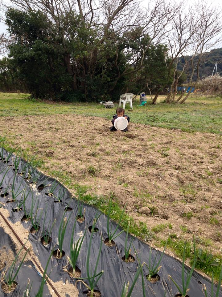 山口県の離島航路 田布施町馬島 のんびらんど うましま のキャンプ場の予約が開始されています Facebook