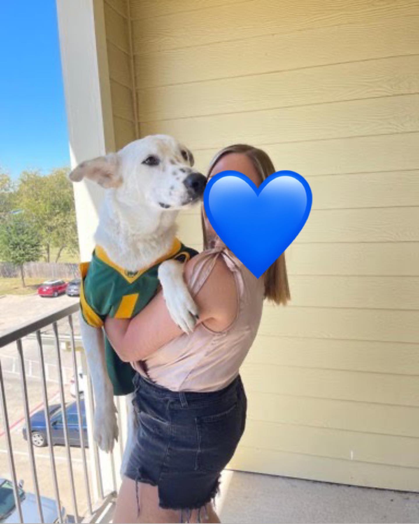 Meet Persuasion! He came to us from... - The Haus of Dogs