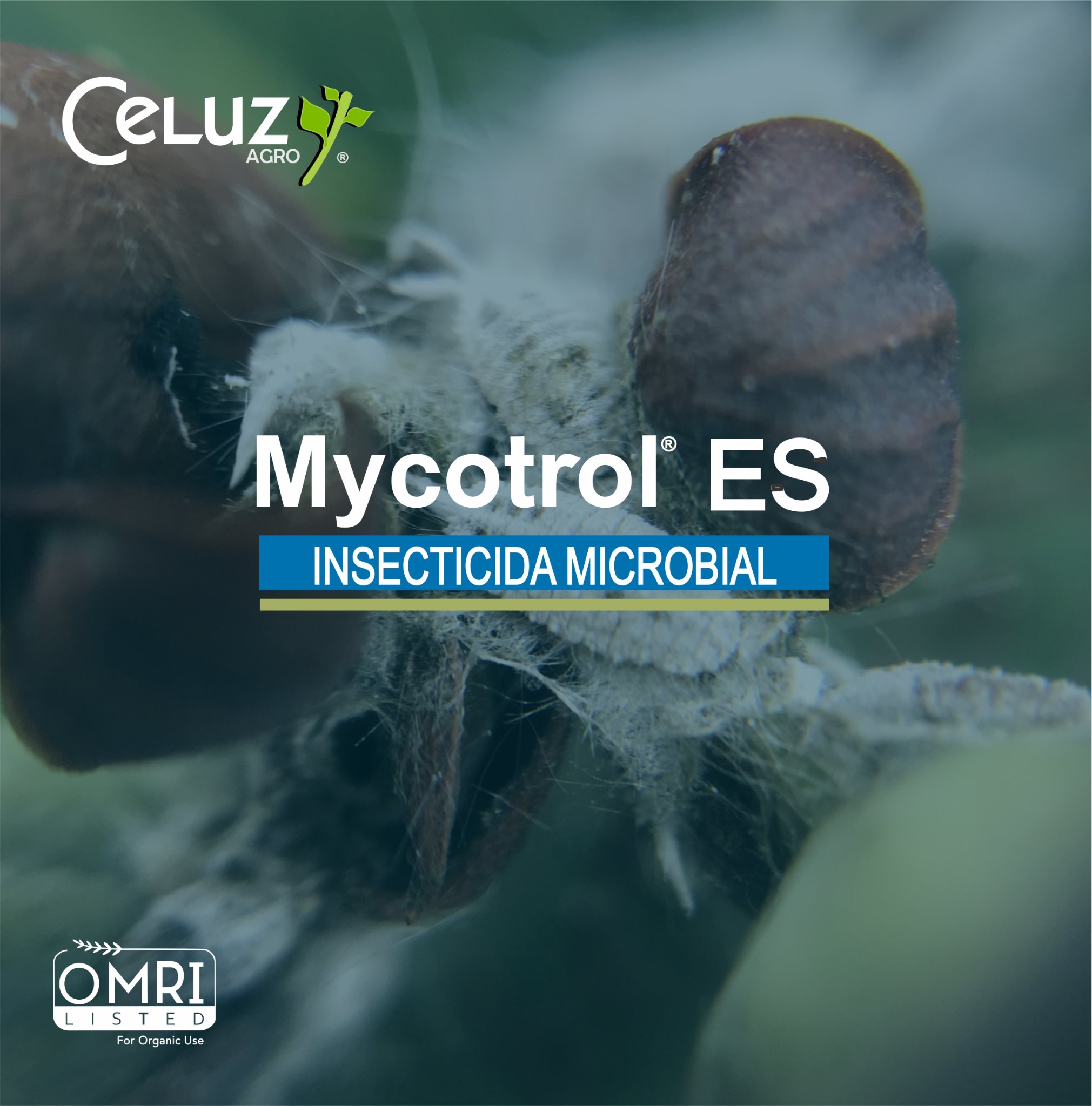 Celuz Agro - Mycotrol ES tiene como ingrediente activo... | Facebook