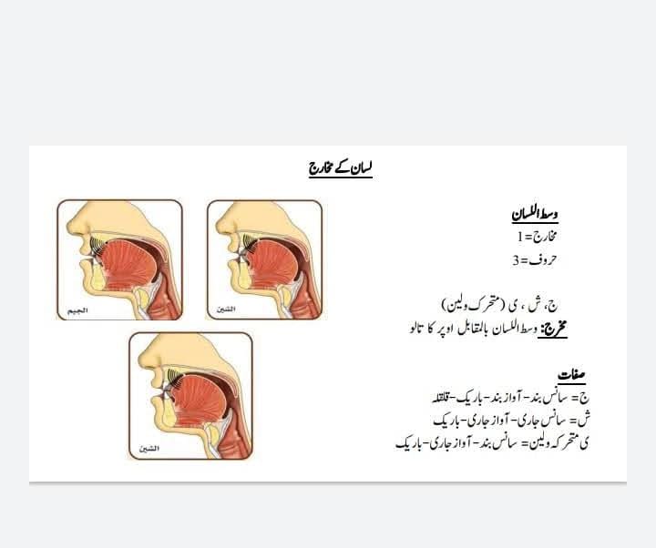 Musarrat Saeed