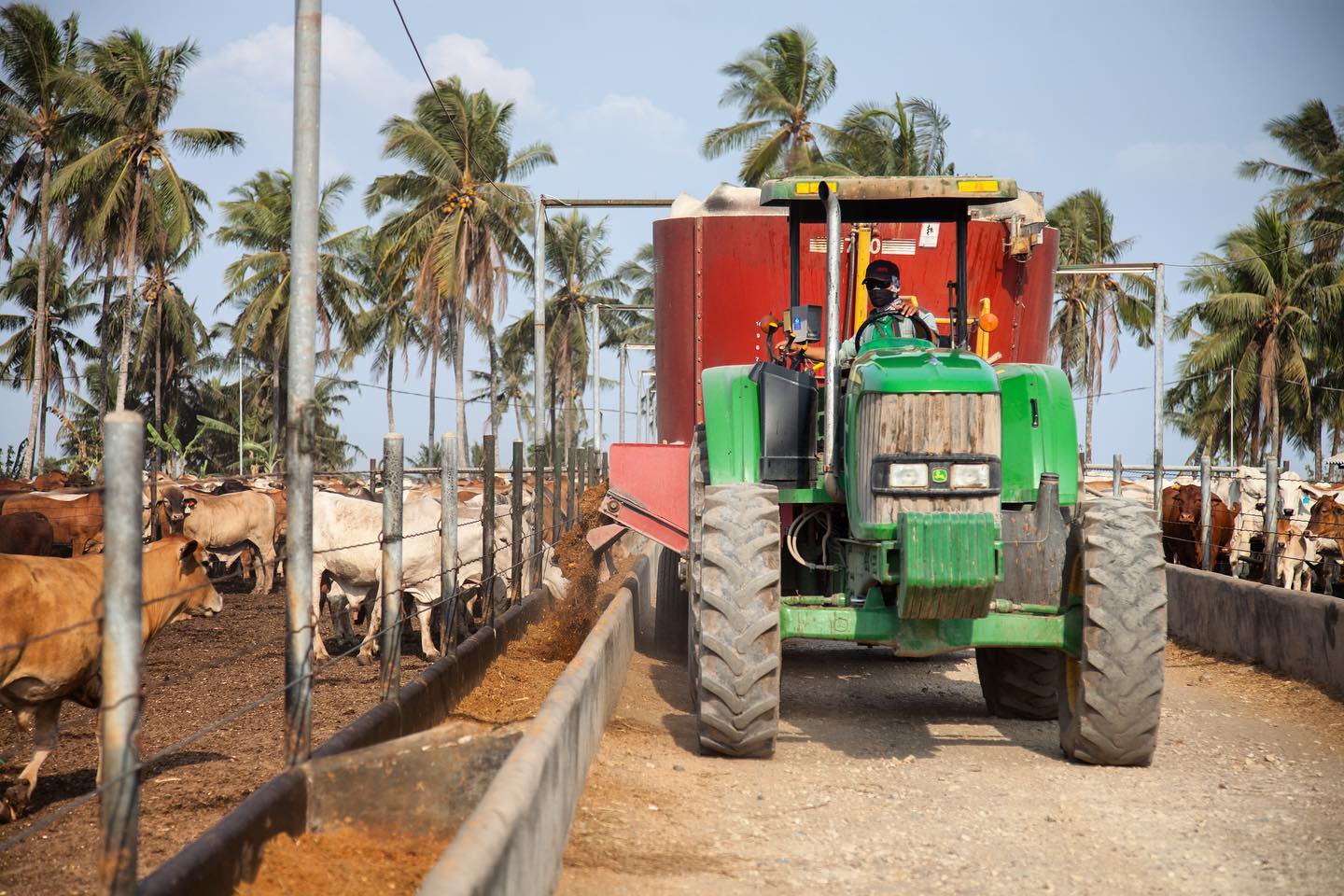 Queensland Livestock Exporters Association