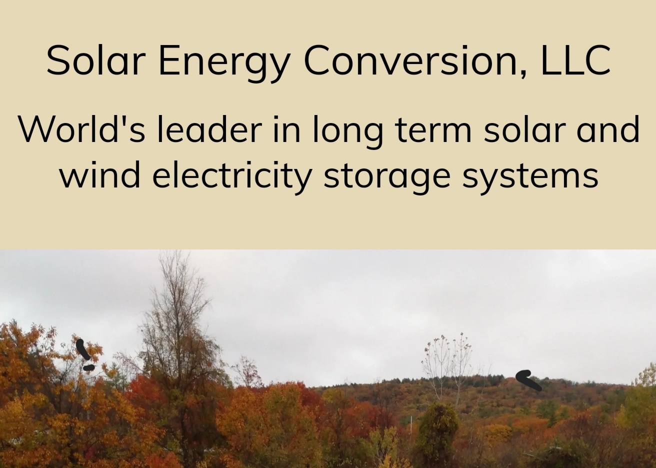 Solar Energy Conversion LLC