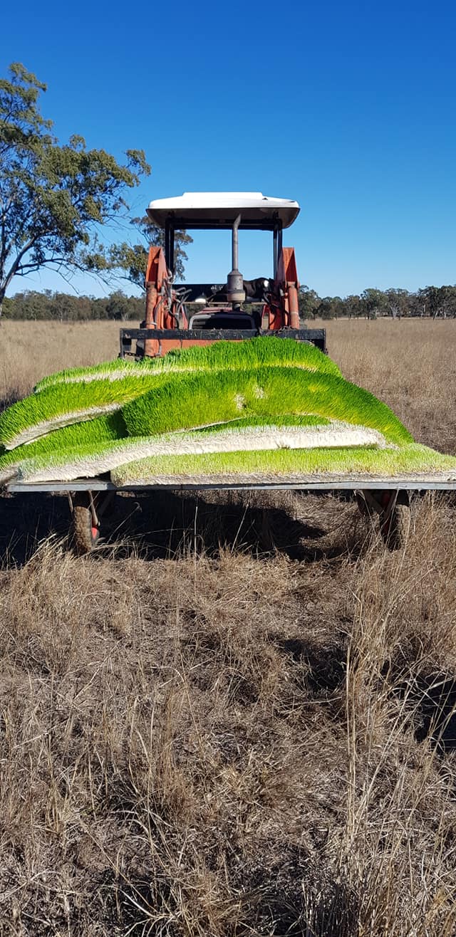 Forest Glen Free Range Fodder Fed Beef