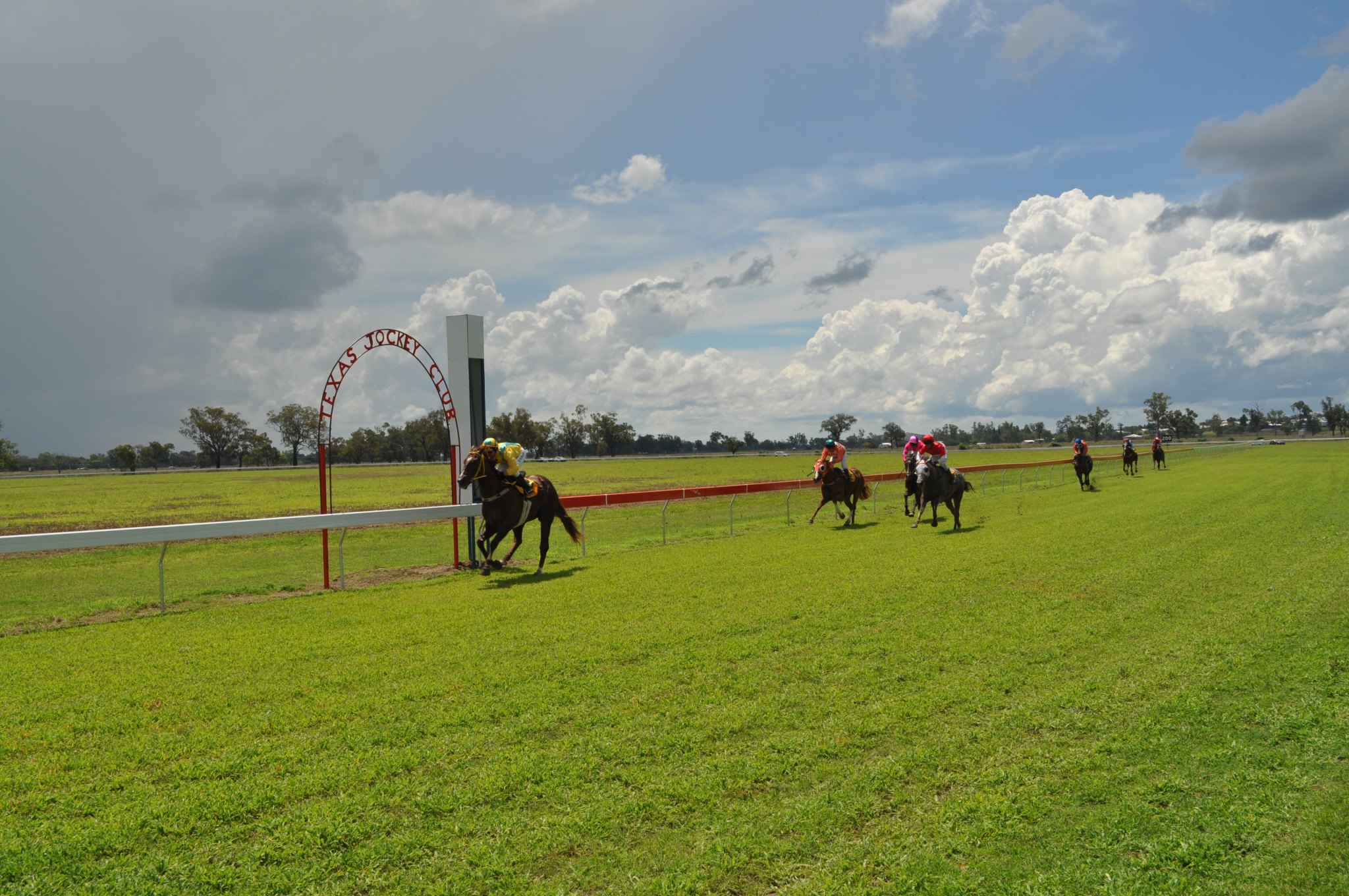 Our Fields and Form reach all over... - Racing Australia