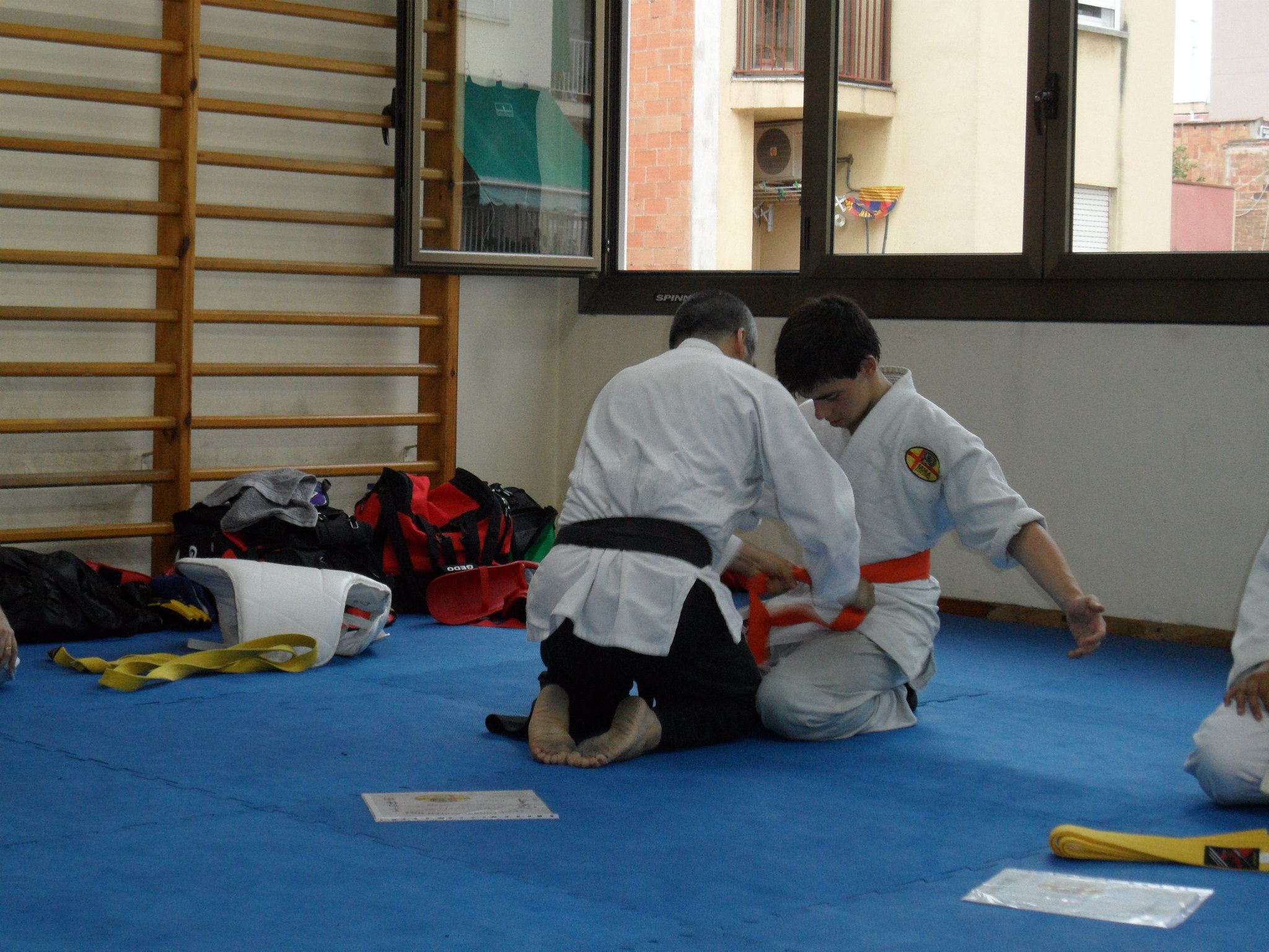 Close Combat System M.M.A.
