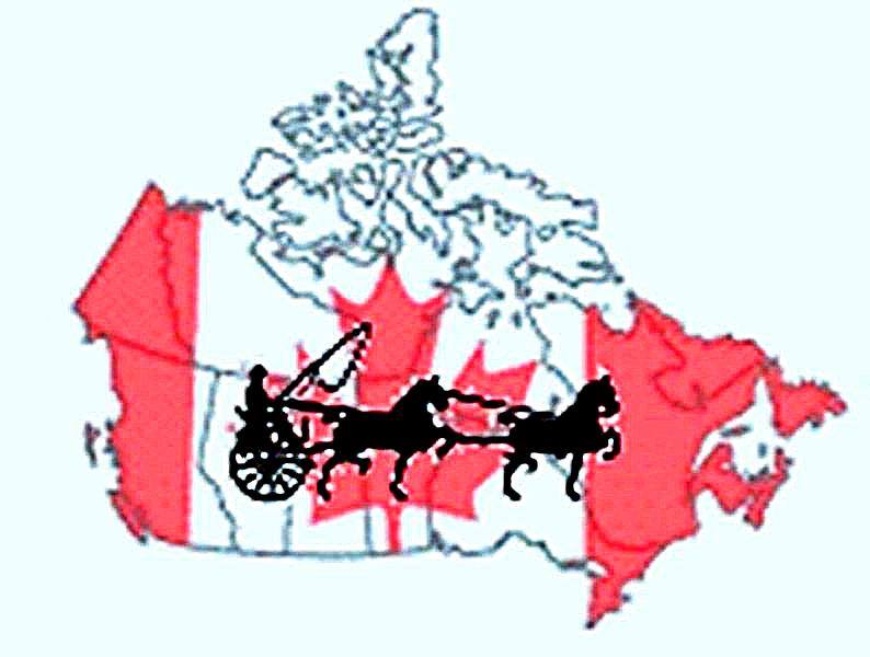 The Canadian Hackney... - The Canadian Hackney Society