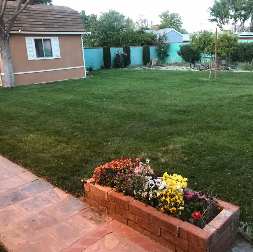 IGIT Gardening and Landscaping