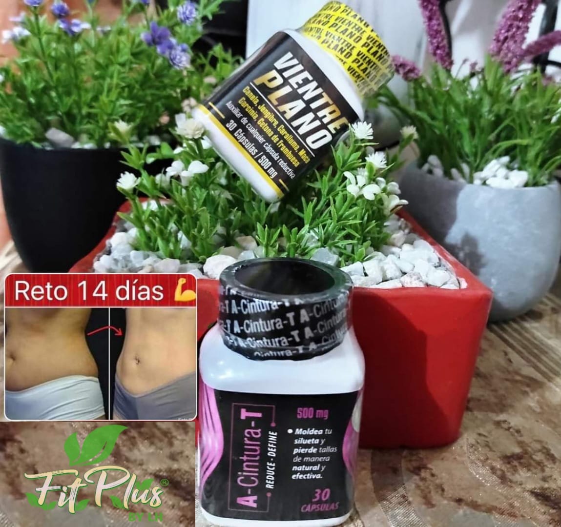 El Kit que no puede faltarnos... - Lida Plus Daidaihua Coatza
