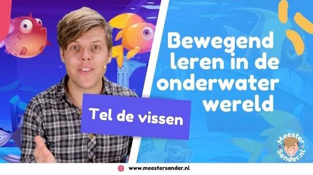 Meester Sander | Meppel