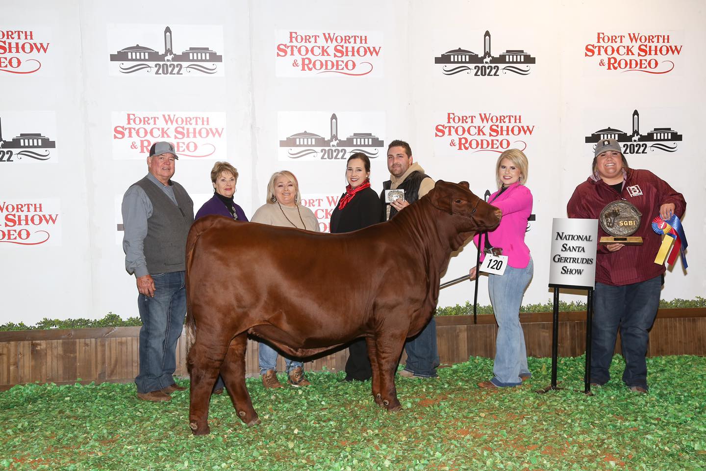 B Square Ranch - National Santa Gertrudis Show BSR Miss... | Facebook
