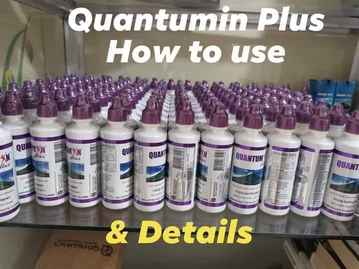 Quantumin Plus Original PH