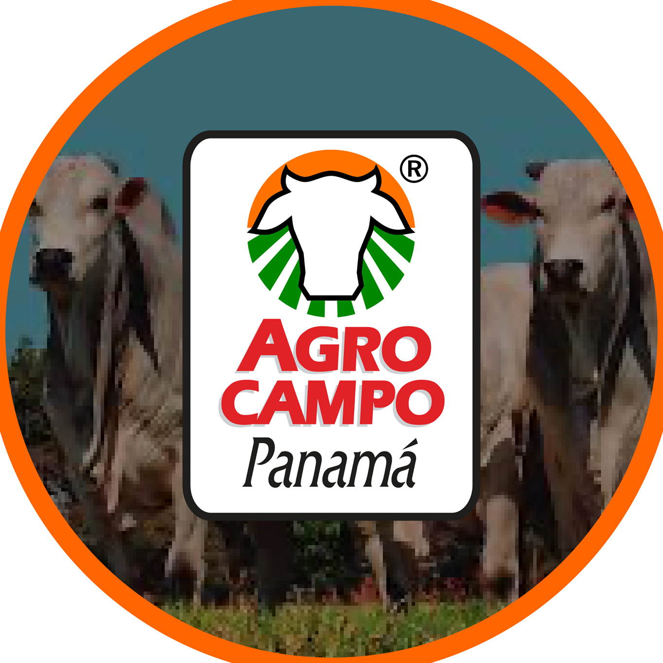 Agrocampo - Las multivitaminas Calox. Un excelente producto el cual es ...