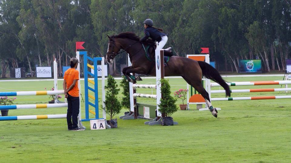 ขอแสดงความยินดีกับนักกีฬาจาก... - Phoenix Riding Academy By KP | Facebook