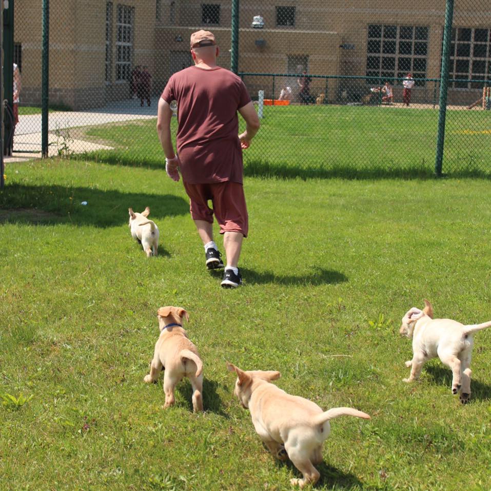 Gone to the Dogs added a new photo. - Gone to the Dogs