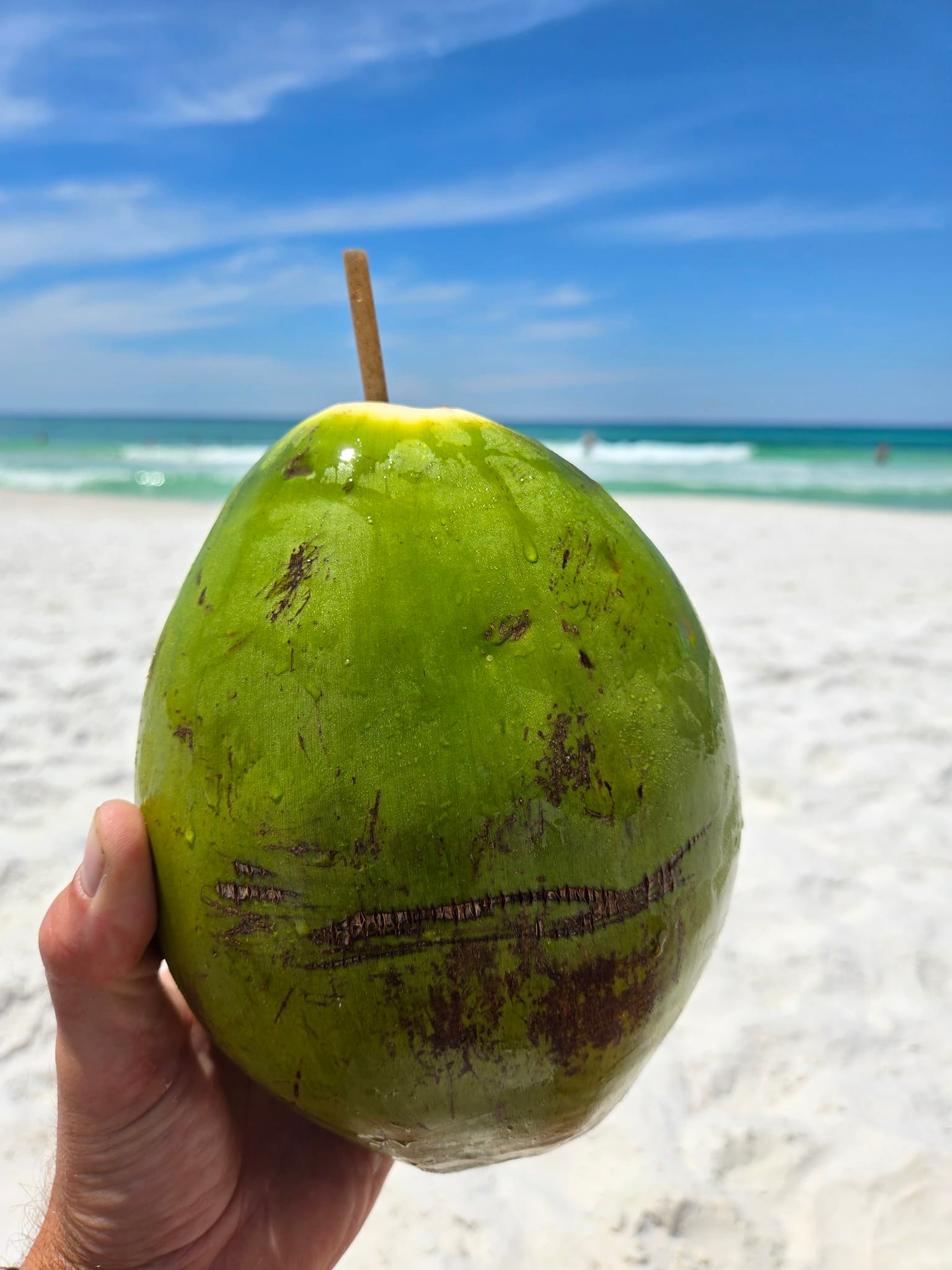 Coco Rico Farms | Destin FL