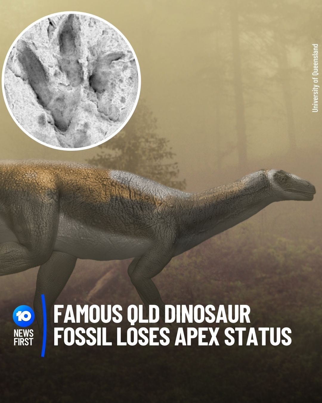 10 News Queensland - FAMOUS RAPTOR FOSSIL DEBUNKED AS ‘TIMID’ HERBIVORE ...