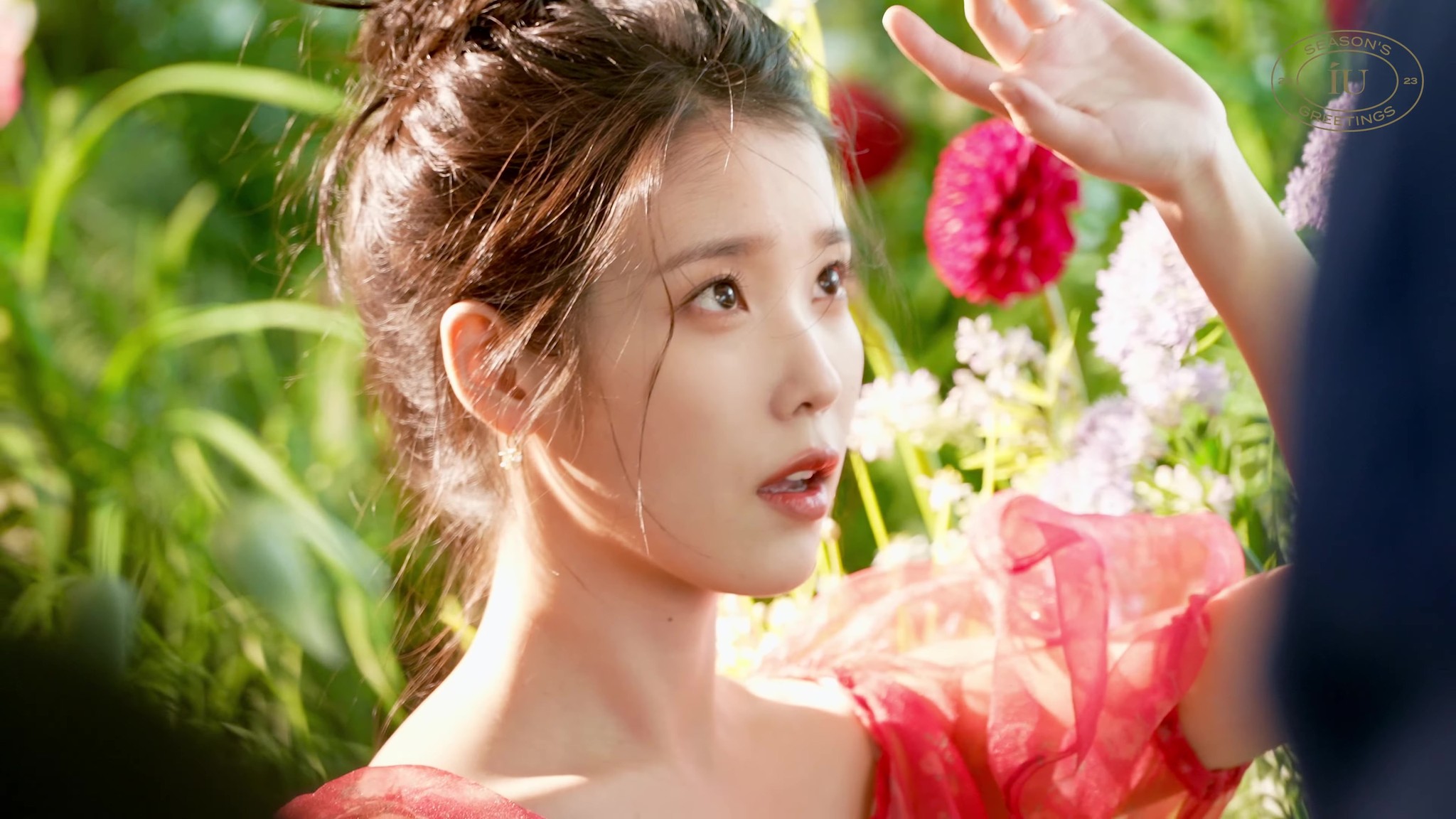 IU - dlwlrma. 10th Anniversary Tour Concert Photobook with Special