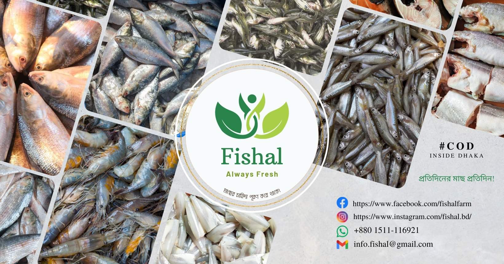 Fishal | Dhaka