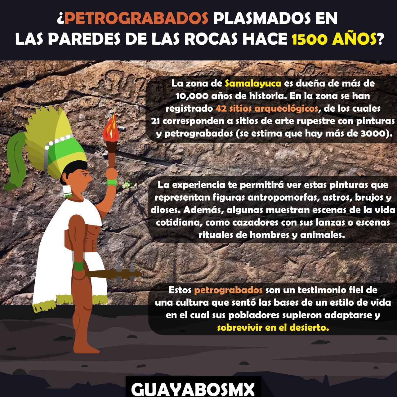 Guayabos
