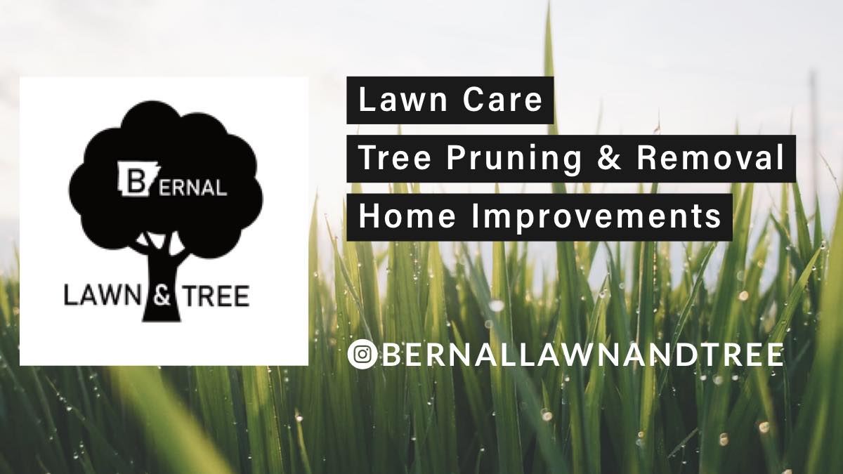 Bernal Lawn & Tree