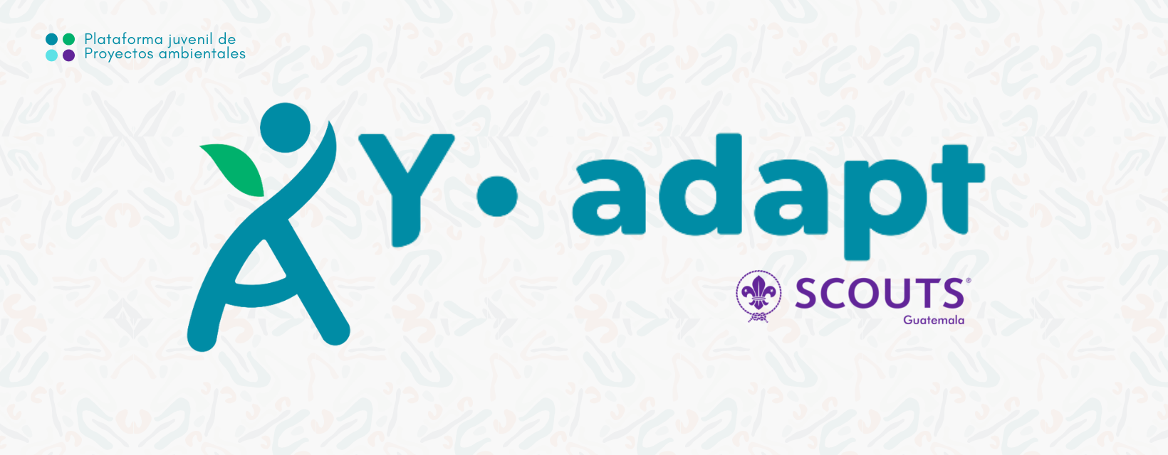 Y-Adapt