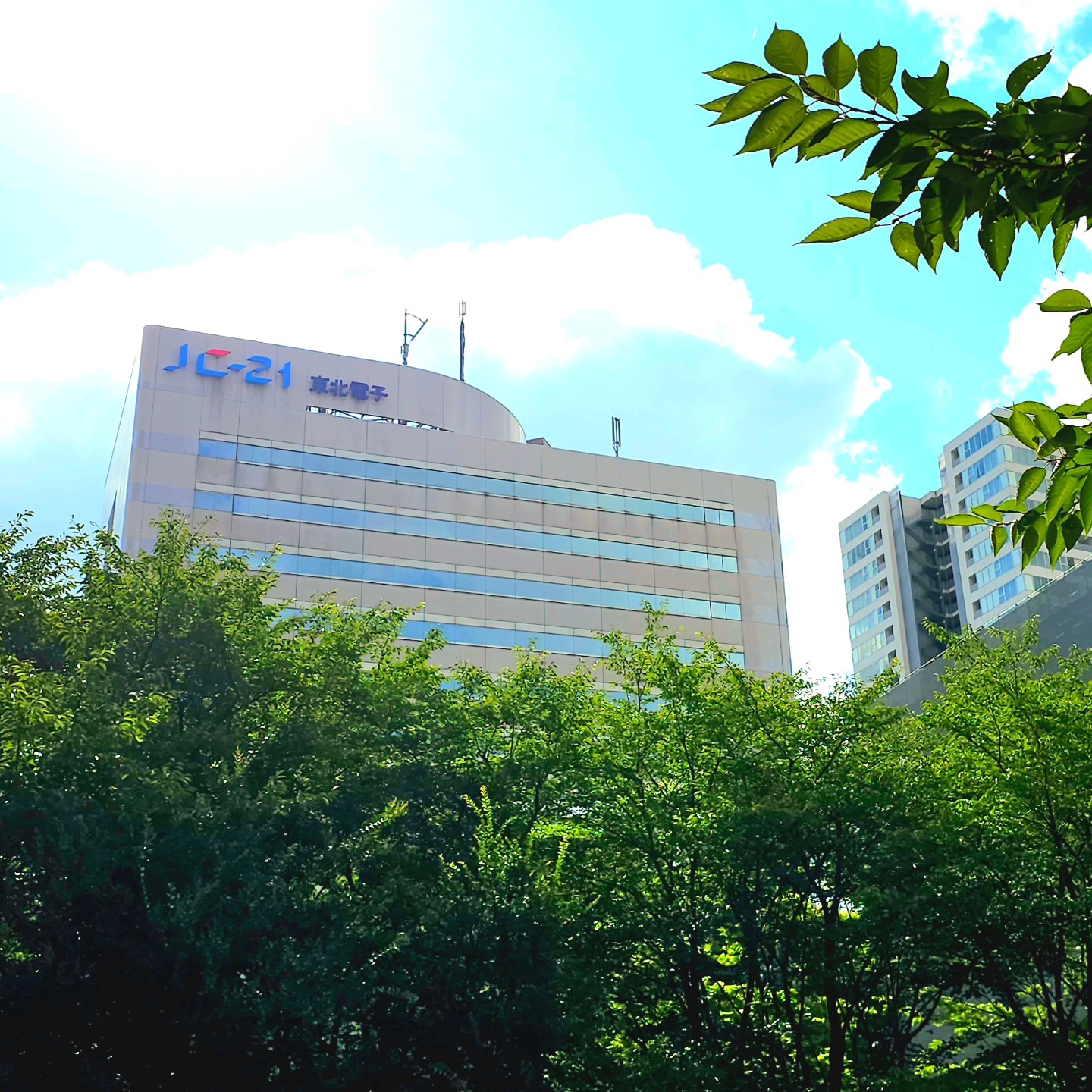 東北 保健 医療 専門 学校