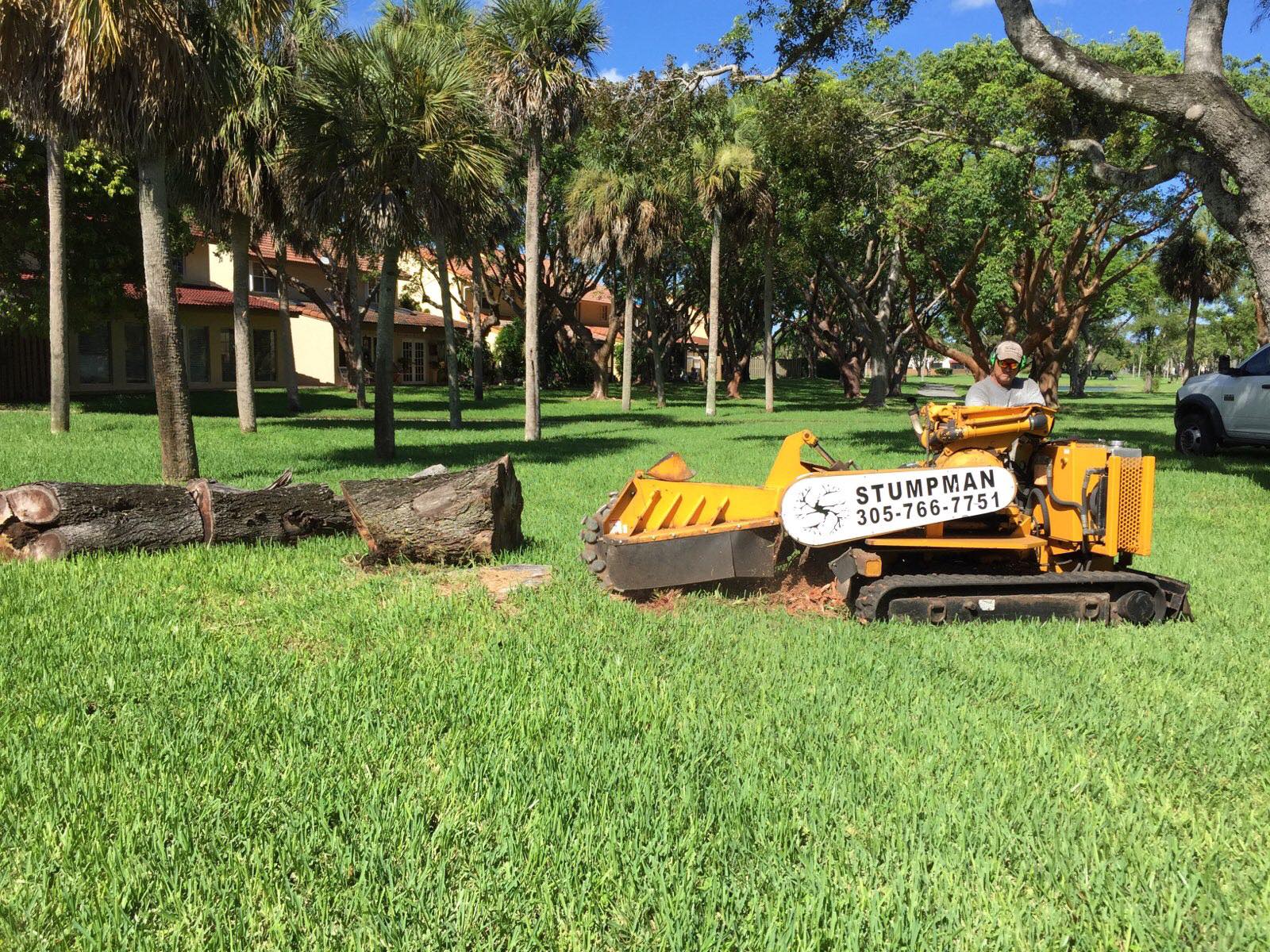 stumpman tree service | Homestead FL