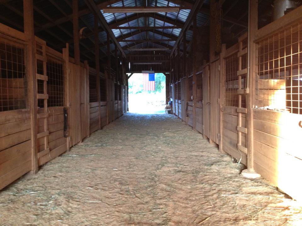 Honora Bay Riding Stable added... - Honora Bay Riding Stable