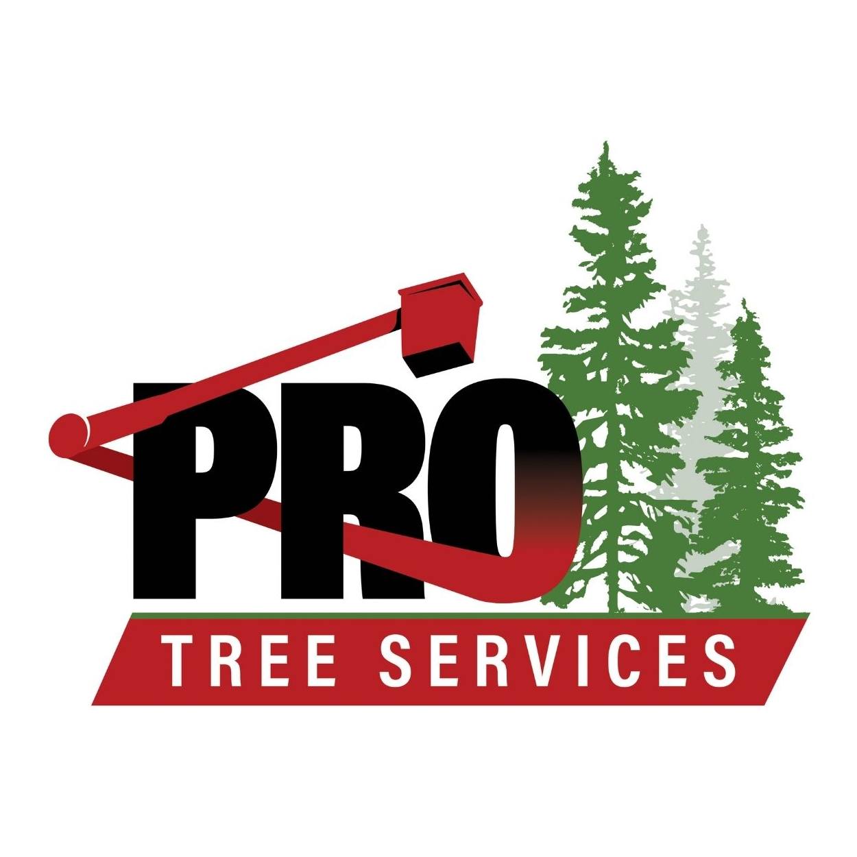 Pro Tree Services added a new photo —... - Pro Tree Services