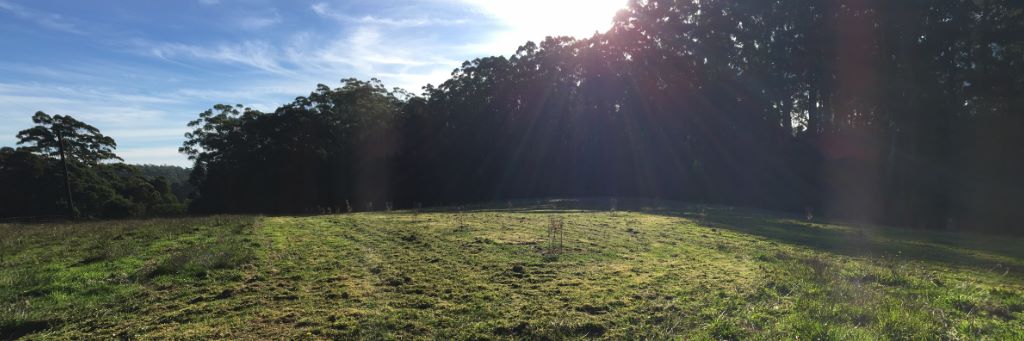 Otway Ridge Farm & Forest