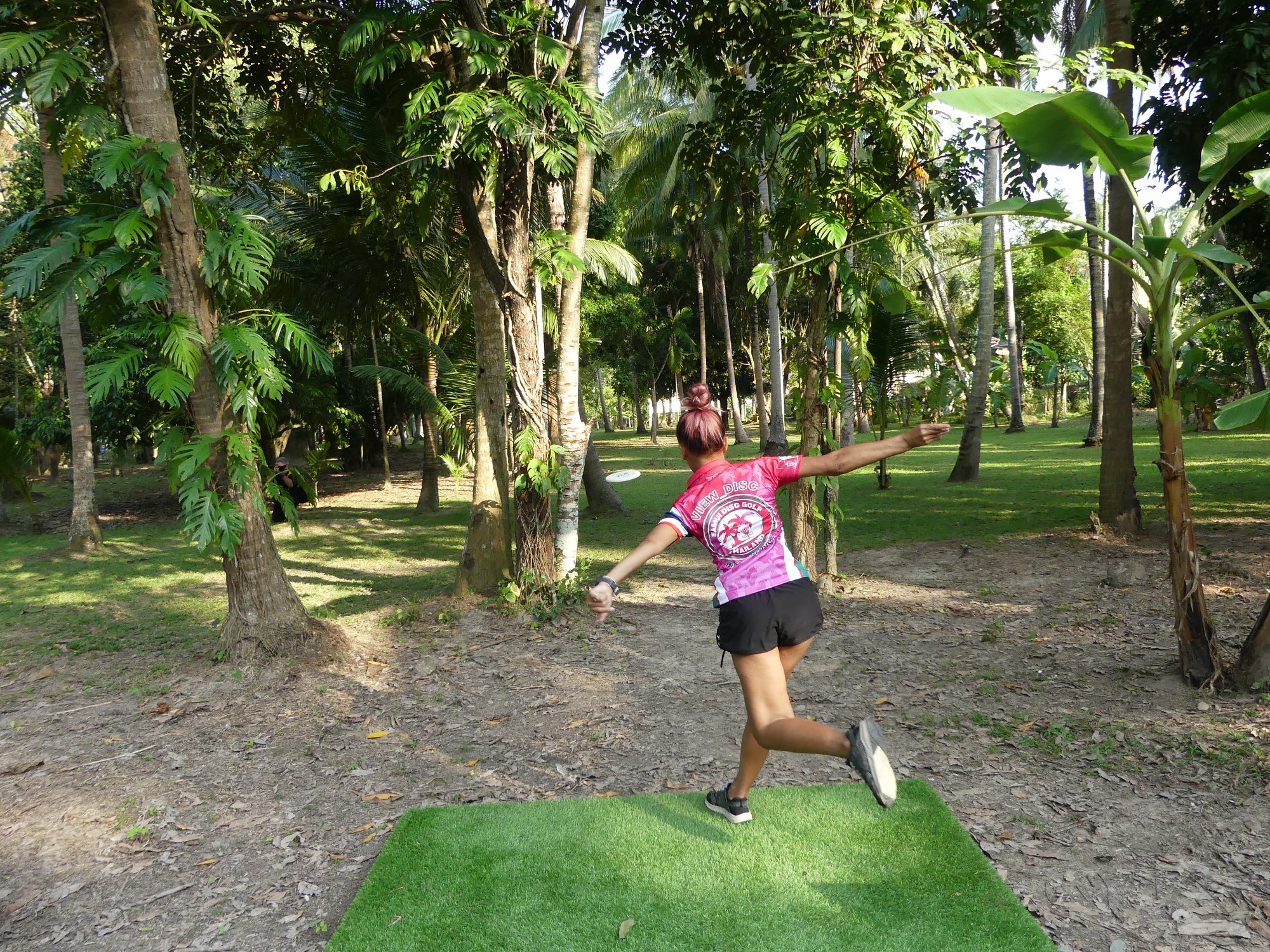 View_disc