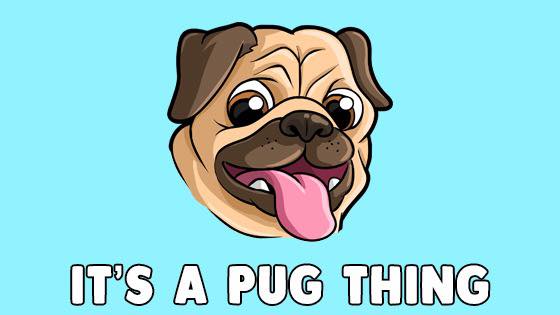 Pug Life Magazine - 😜🎃 We love you ️ @chuckthepug.ctp Pug Life Magazine ...