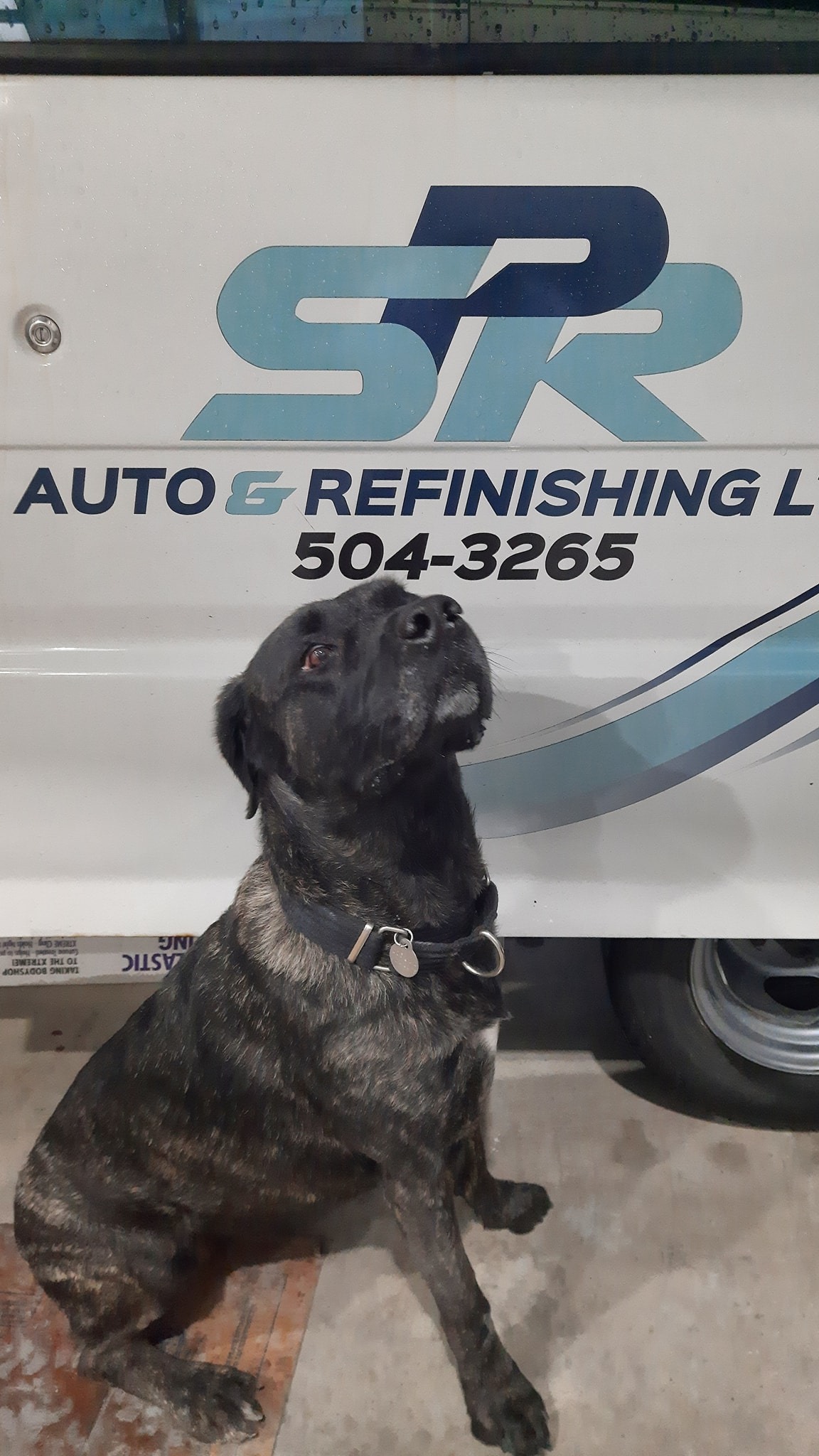 SPR Auto & Refinishing Ltd... - SPR Auto & Refinishing Ltd