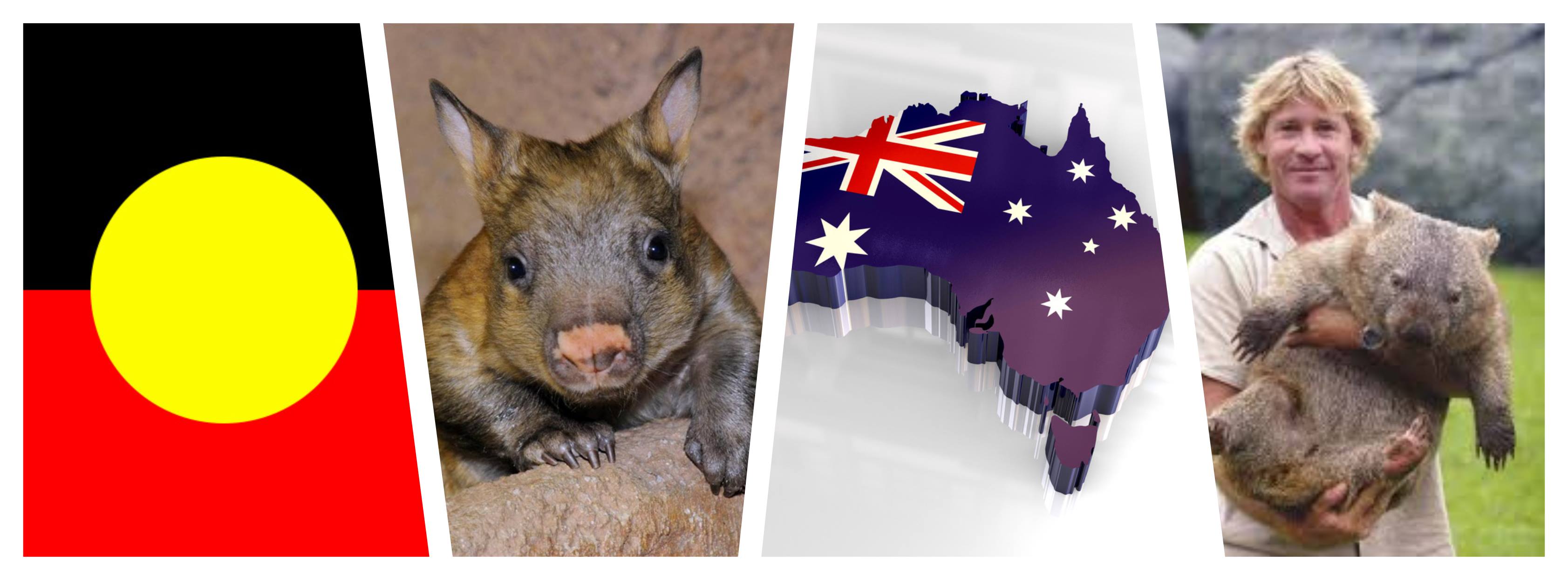 Save the Wombat