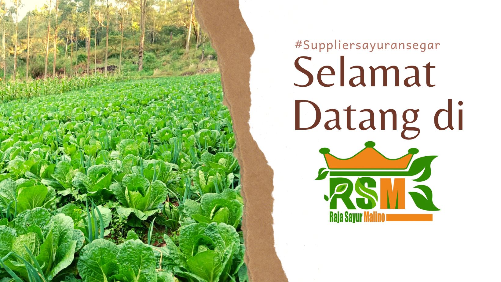 Raja Sayur Malino | Makassar