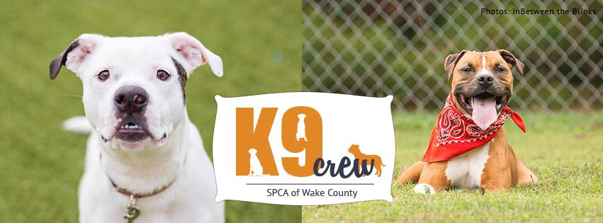 SPCA of Wake County - K9 Crew | Raleigh NC