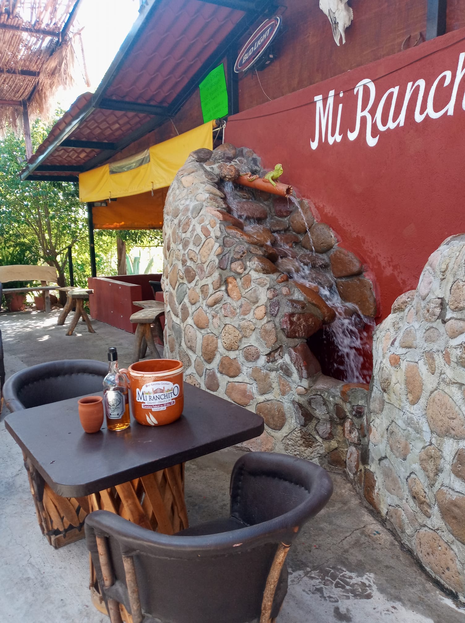 Cafe & Bar Campestre... - Cafe & Bar Campestre 
