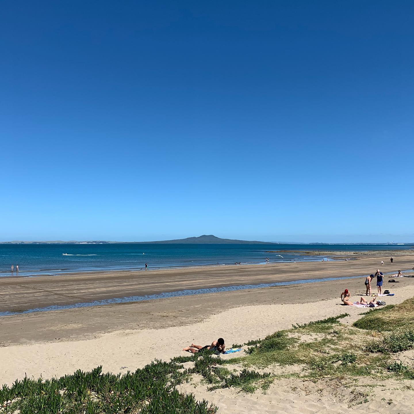 Jtb New Zealand 天気がよかったので ブラウンズベイに行ってきました 海沿いのカフェでピザ を Facebook