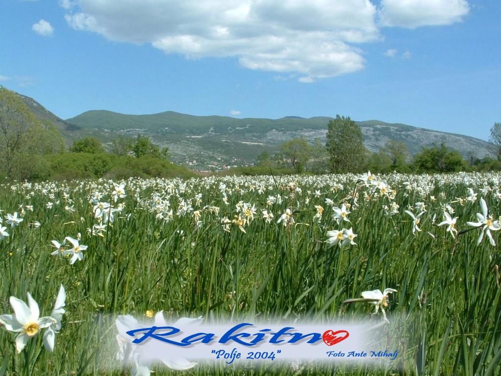 Rakitno - Rakitno added a new photo.