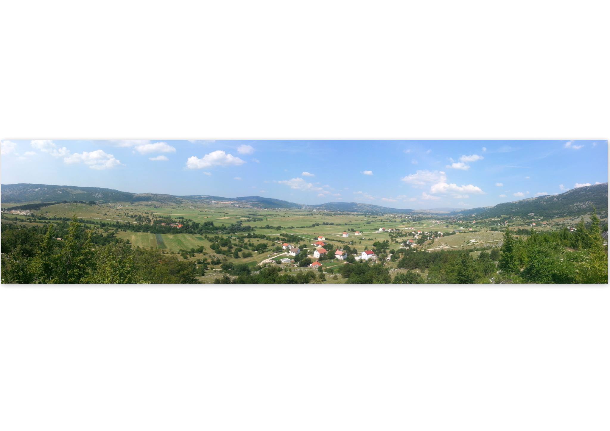Rakitno