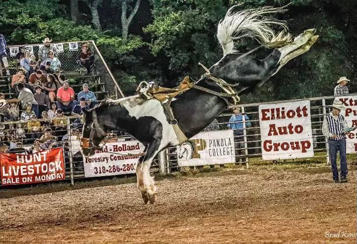 Awesome photo of #905 War Hawk now... - Mosbrucker Rodeo’s | Facebook