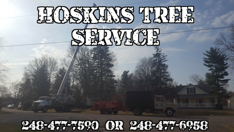 Hoskins Tree Service Inc. | Farmington Hills MI