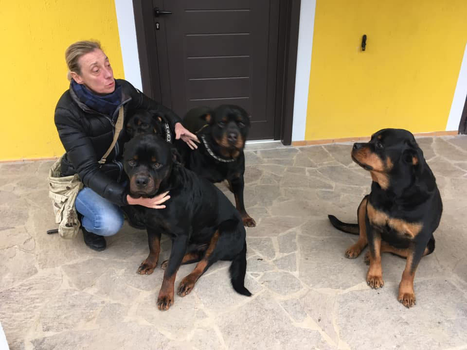 ROTTWEILER LA PASSIONE........ | scusatemi rott di 6 mesi, oltre solito ...