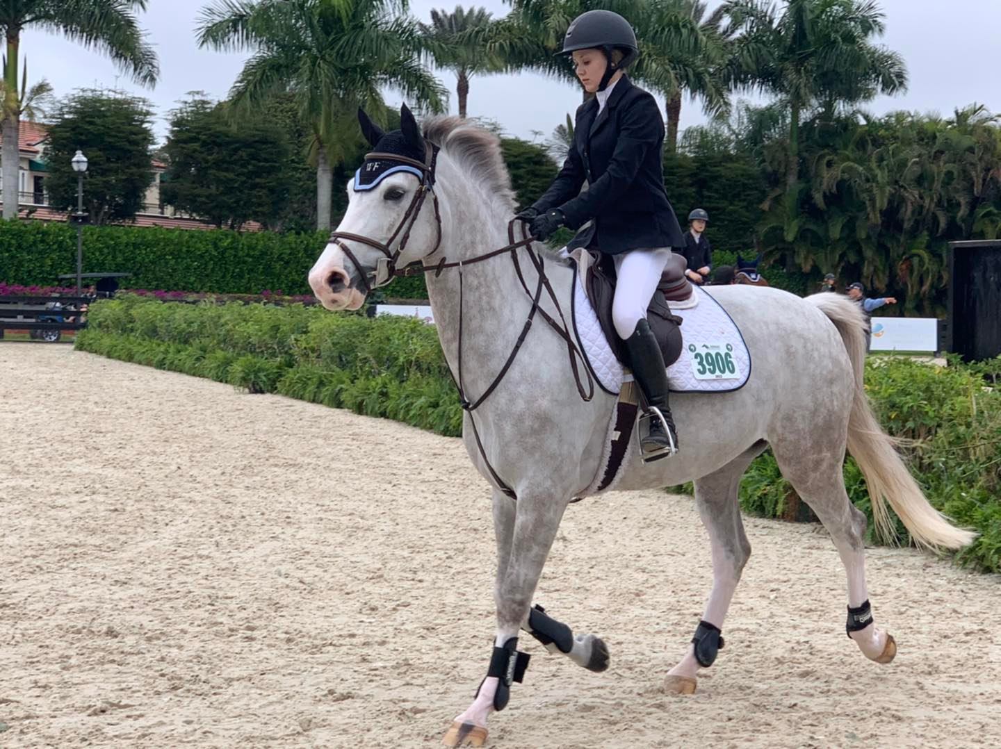 Wynnwood Farm - Congratulations Emma Routhier and Mr Grey... | Facebook
