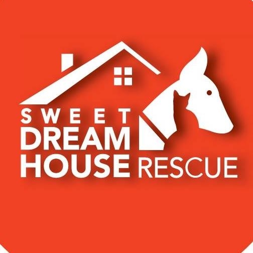 Happy tails to Charcoal who is... - Sweet Dream House Rescue | Facebook
