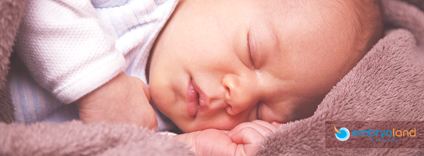 Embryoland - IVF Center Athens | Athens