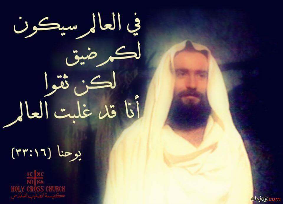 فتشوا الكتب - بولس الرّسول، من أسر الشّريعة إلى حرّيّة المحبّة (الرسائل ...
