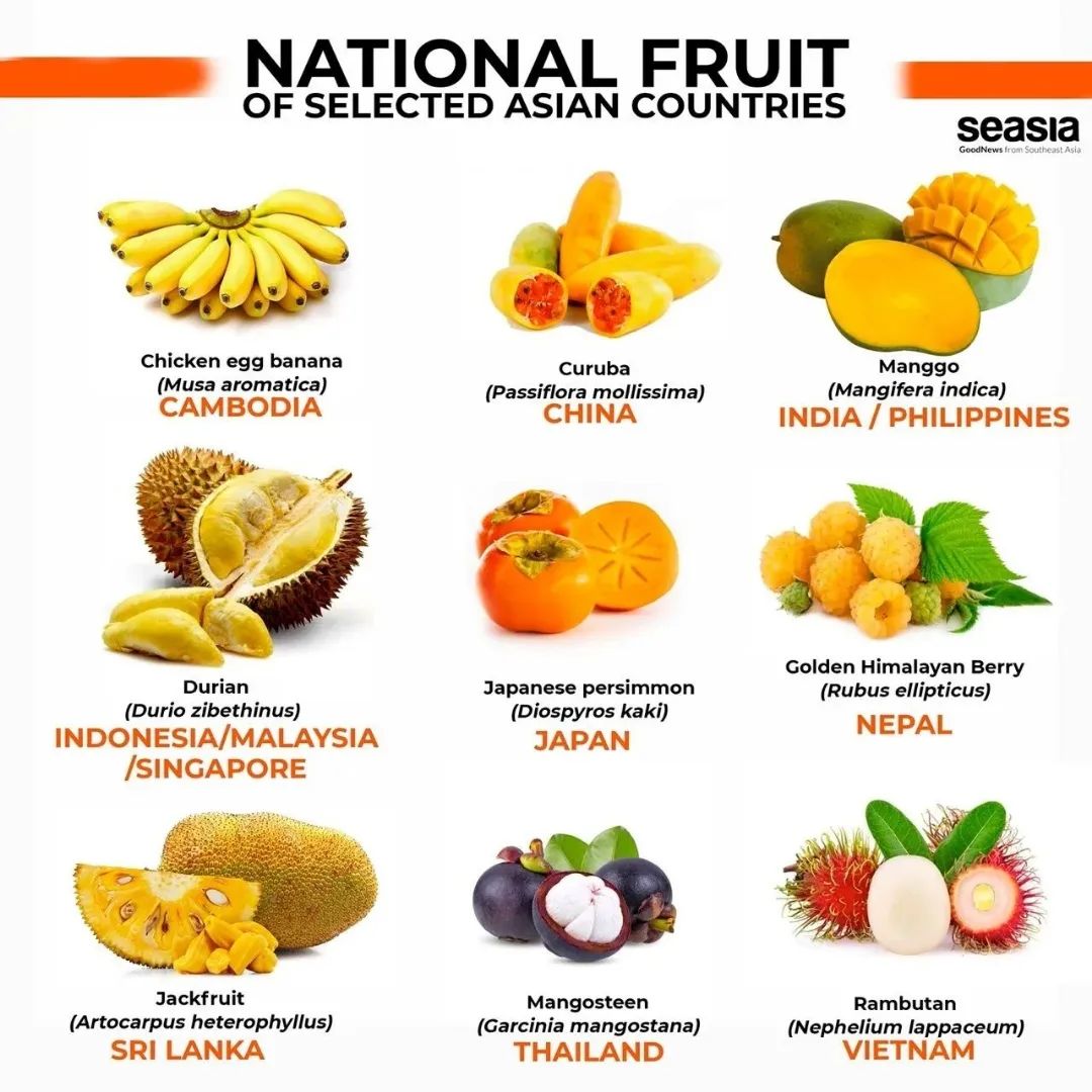 Philippine National Fruit