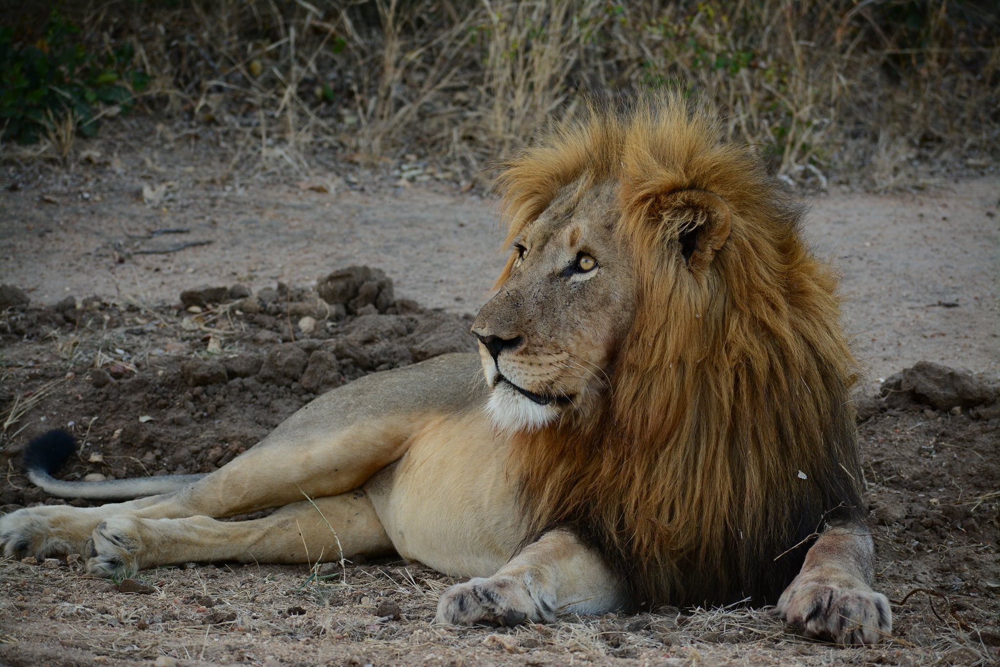 Moditlo Private Game Reserve