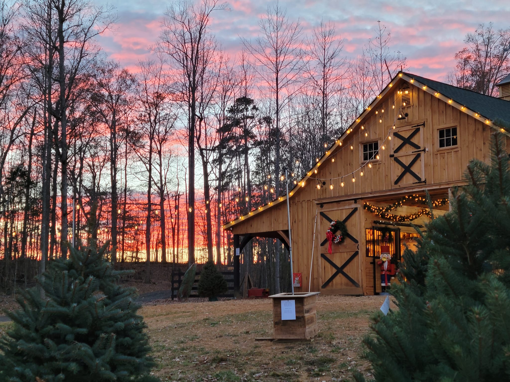 Tara Noel Christmas Tree Farm | Amelia Court House VA